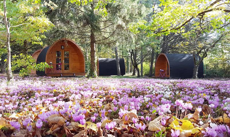 Gîte pour 2 personnes, avec jardin ainsi que jacuzzi et piscine