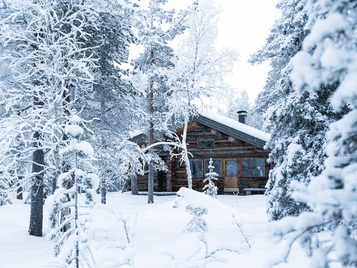 Kelosaajo in Lappland
