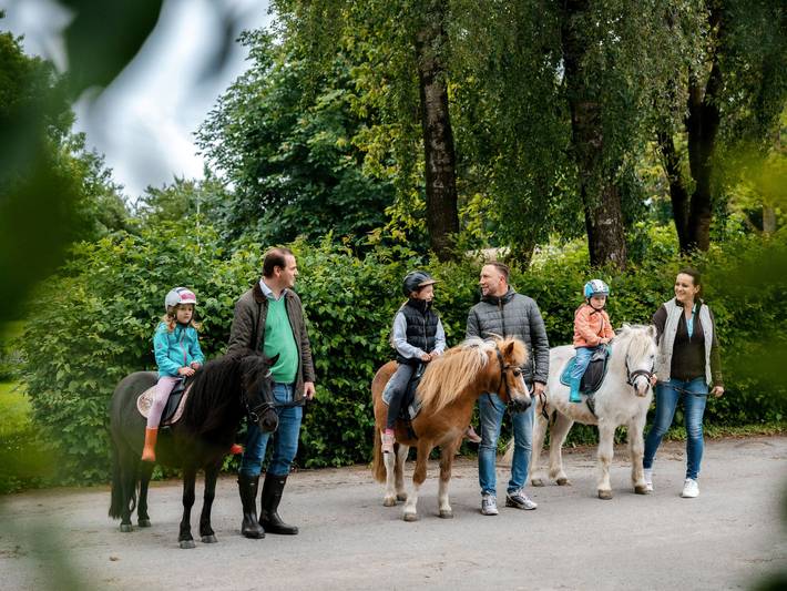 Bauernhof für 6 Personen, mit Pool und Garten im Weserbergland - 4