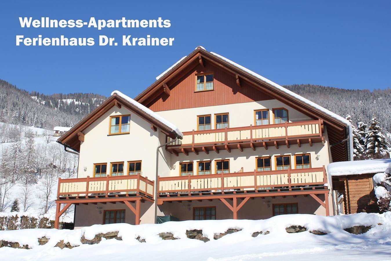 Ganze Ferienwohnung, Dr. Krainer I,Iii in Bad Kleinkirchheim, Nockberge