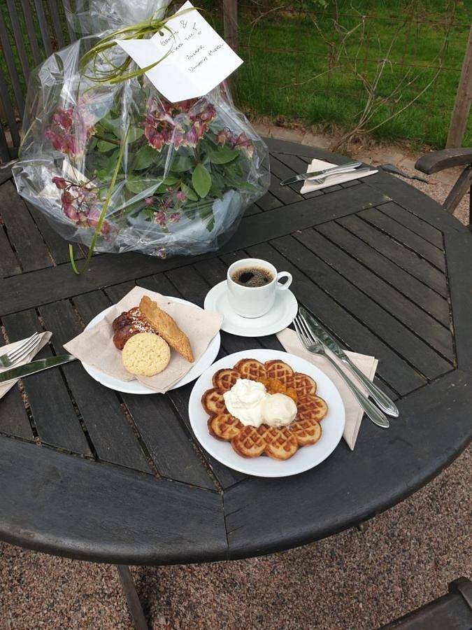 Ferienhaus für 2 Personen, mit Garten am Bolmen - 4