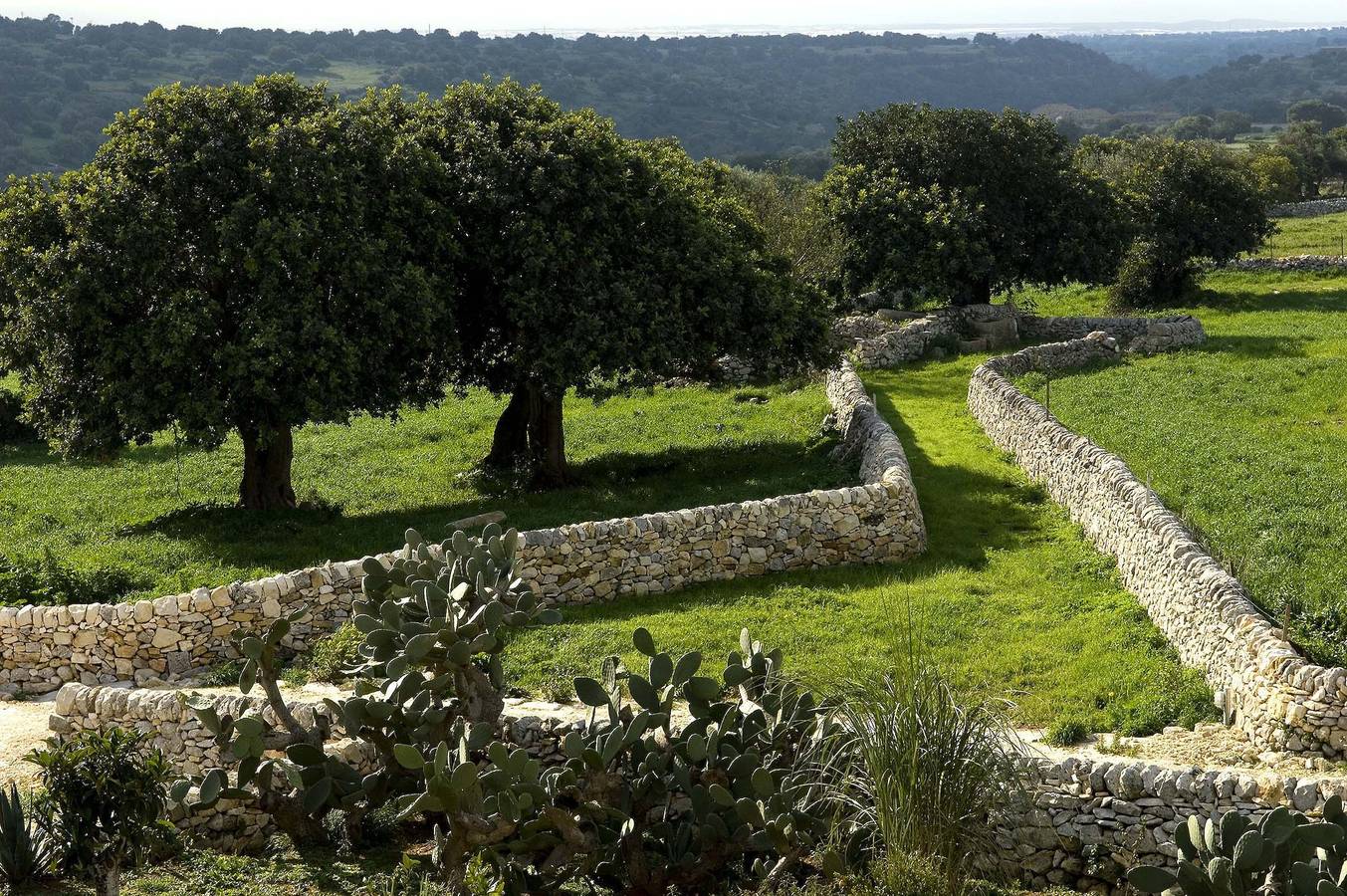 Apartamento entero, Corte Iblea - Ulivo in Donnafugata, Provincia de Ragusa