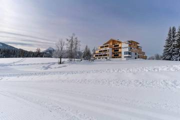Vakantiewoning voor 6 Personen in Ramsau am Dachstein, Ski Amadé, Afbeelding 1