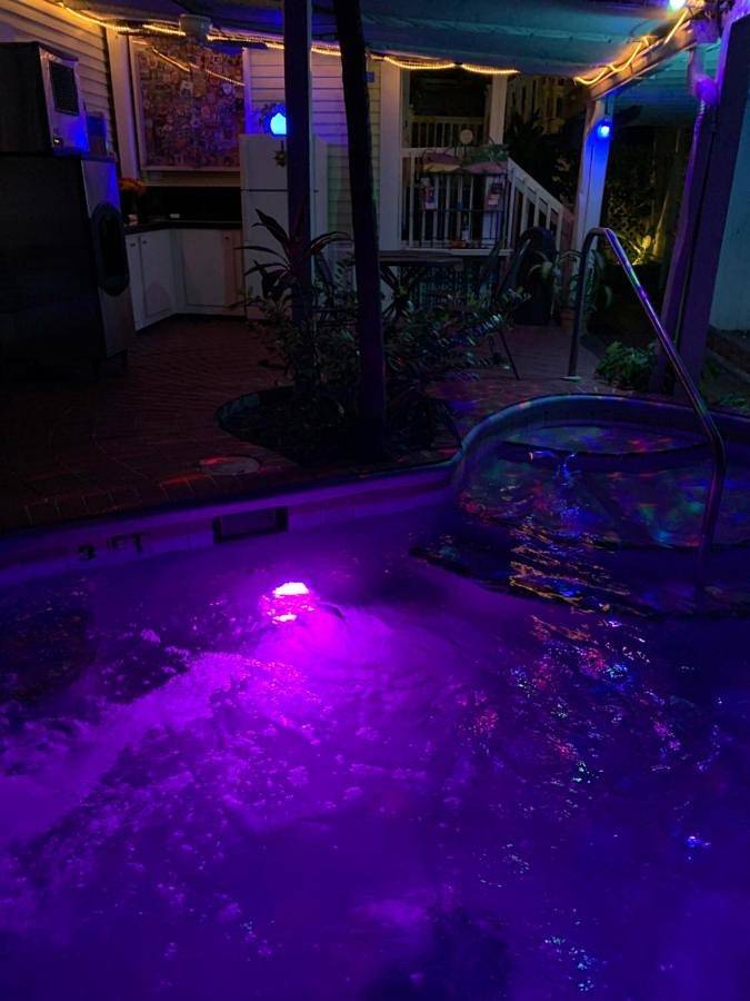 Maison d’hôte pour 4 personnes, avec jardin, animaux acceptés à Key West - 3