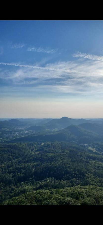 Gîte pour 4 personnes, avec vue et jardin, animaux acceptés à Dernbach - 3