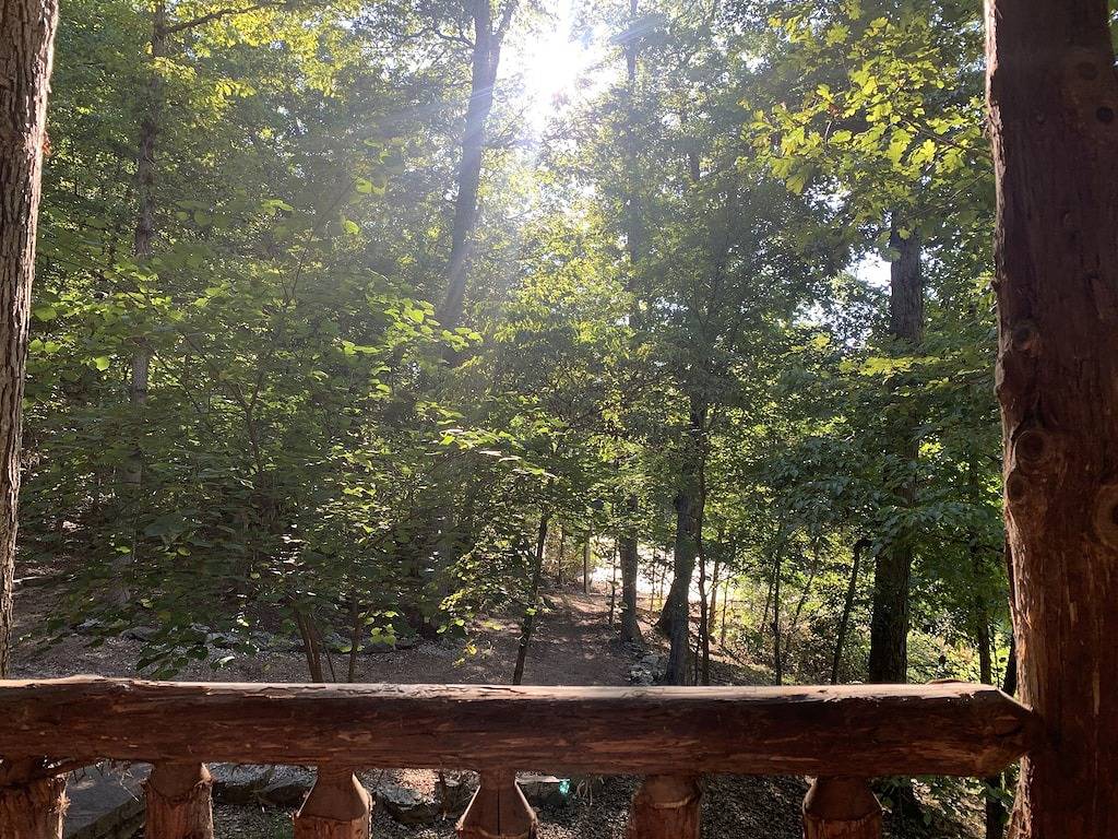 Peaceful, Secluded Cabin near Beaver Lake in Beaver Lake