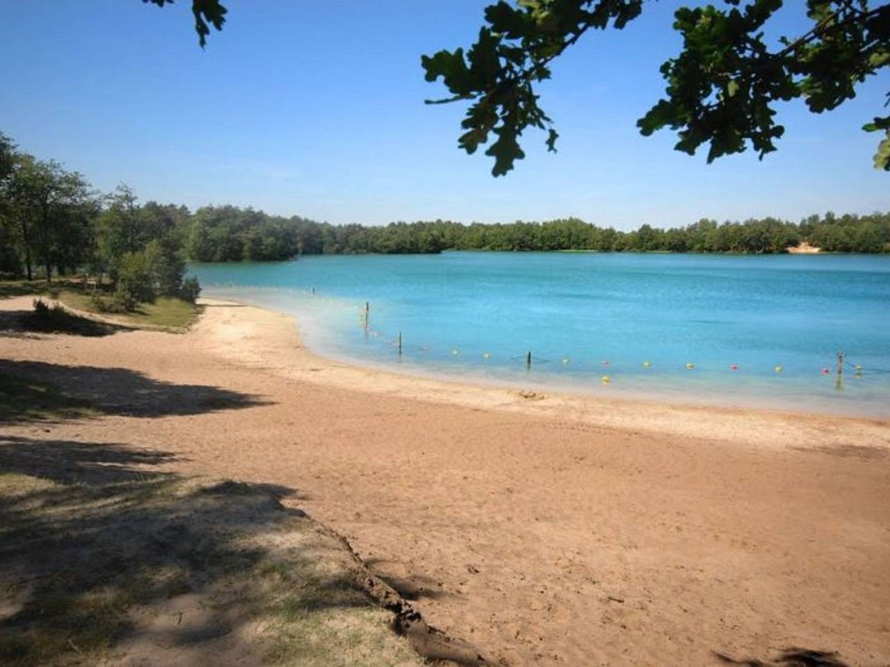 Geschmackvoll eingerichtetes Bauernhaus aus dem 19. in Nationaal Park Dwingelderveld
