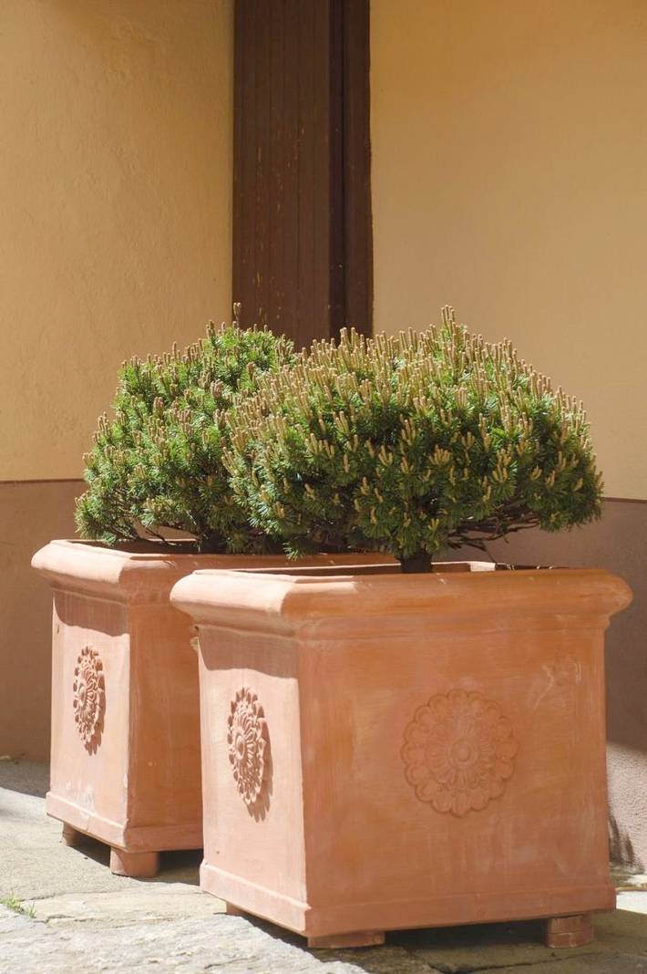 Chambre d’hôte pour 3 personnes, avec vue et jardin dans Tessin - 2