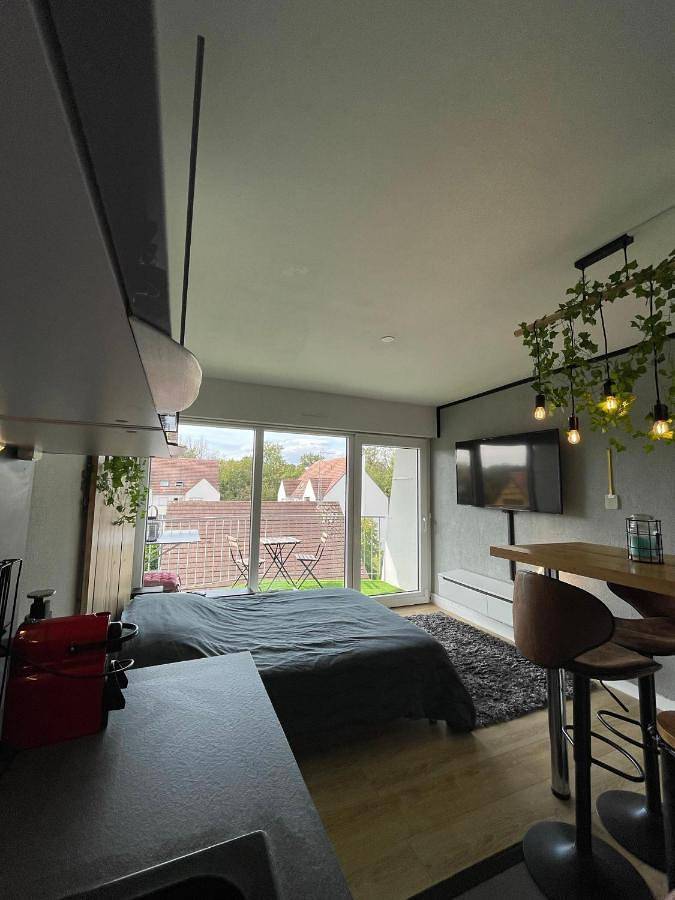 Gîte pour 2 personnes, avec terrasse et jardin à Erstein - 4