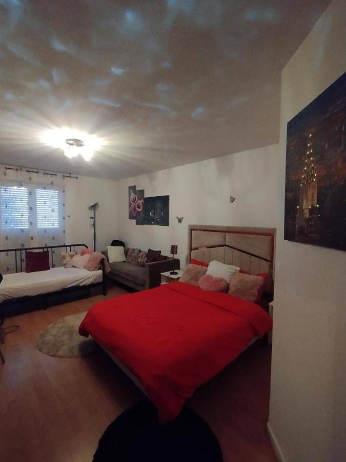 Gîte pour 4 personnes, avec jardin à L'Haÿ-les-Roses - 4