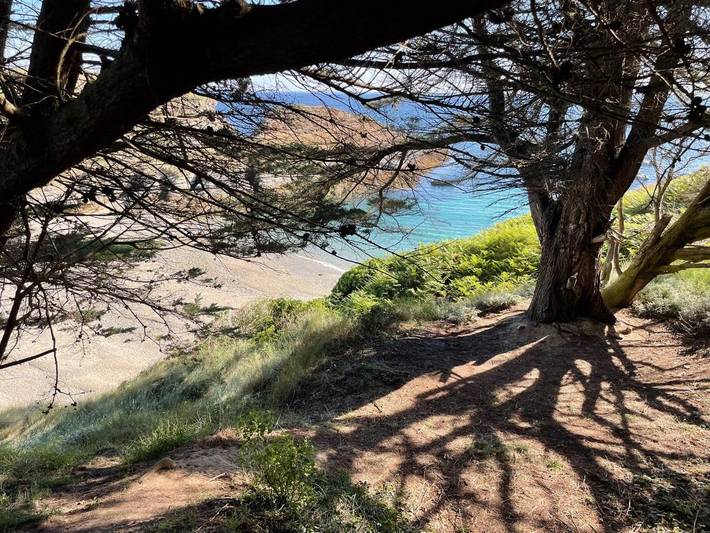 Chambre d’hôte pour 3 personnes, avec vue et jardin dans le Morbihan - 2