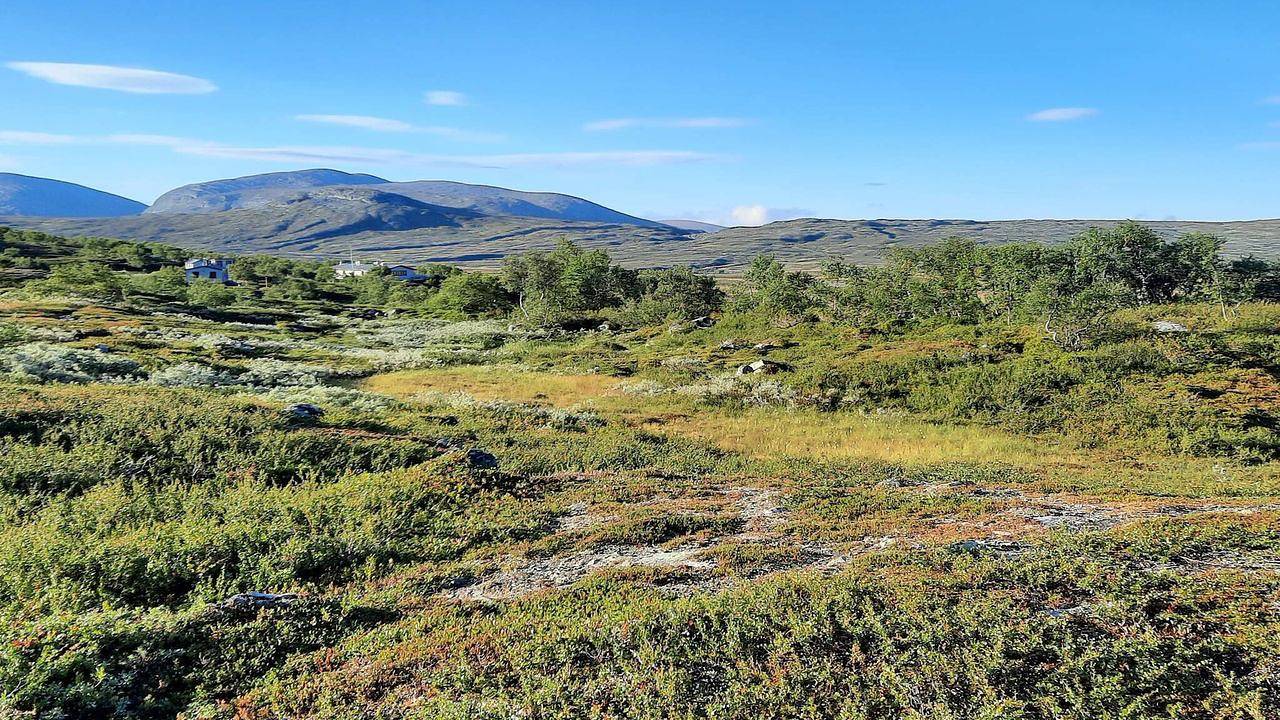 Ferienhaus für 11 Personen (95 m²) in Stöten in Stöten, Malung-Sälen region