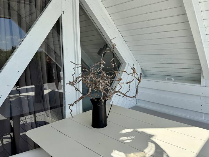 Ferienhaus für 4 Personen, mit Seeblick und Terrasse, mit Haustier am Neusiedler See - 3