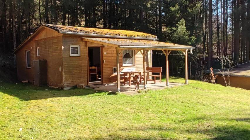 Bungalow für 4 Personen, mit Terrasse, kinderfreundlich im Thüringer Wald