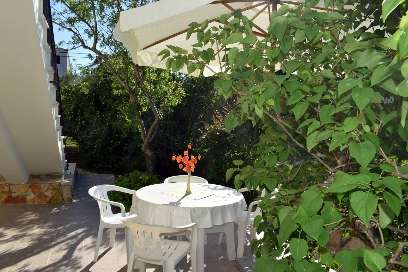 Ganze Wohnung, 1-Zimmer-Ferienwohnung mit Terrasse Ugljan A-8493-b in Ugljan, Insel Ugljan