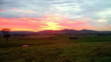 Bed And Breakfast for 3 People in Hunter Valley, New South Wales, Photo 2