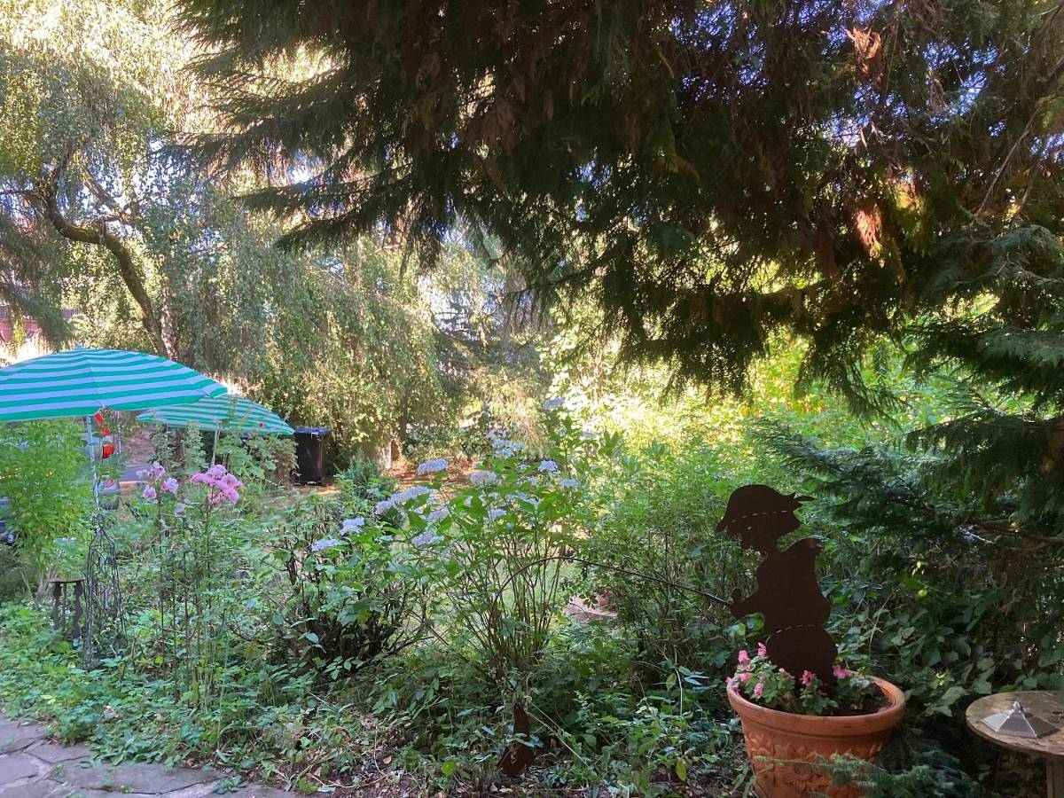 Ferienhaus-stadtkyll Beim Förster in Stadtkyll, Rureifel (Nordrhein-westfalen)