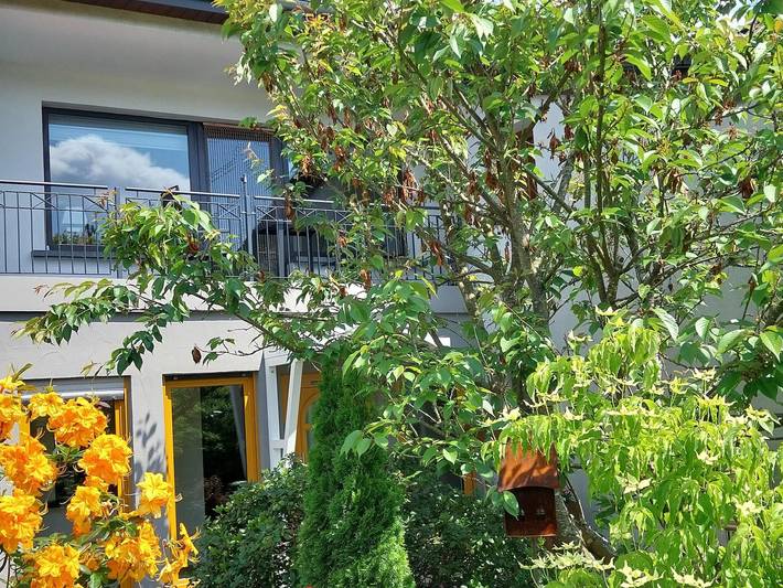 Ferienwohnung für 3 Personen, mit Garten und Terrasse in Oberthal - 4