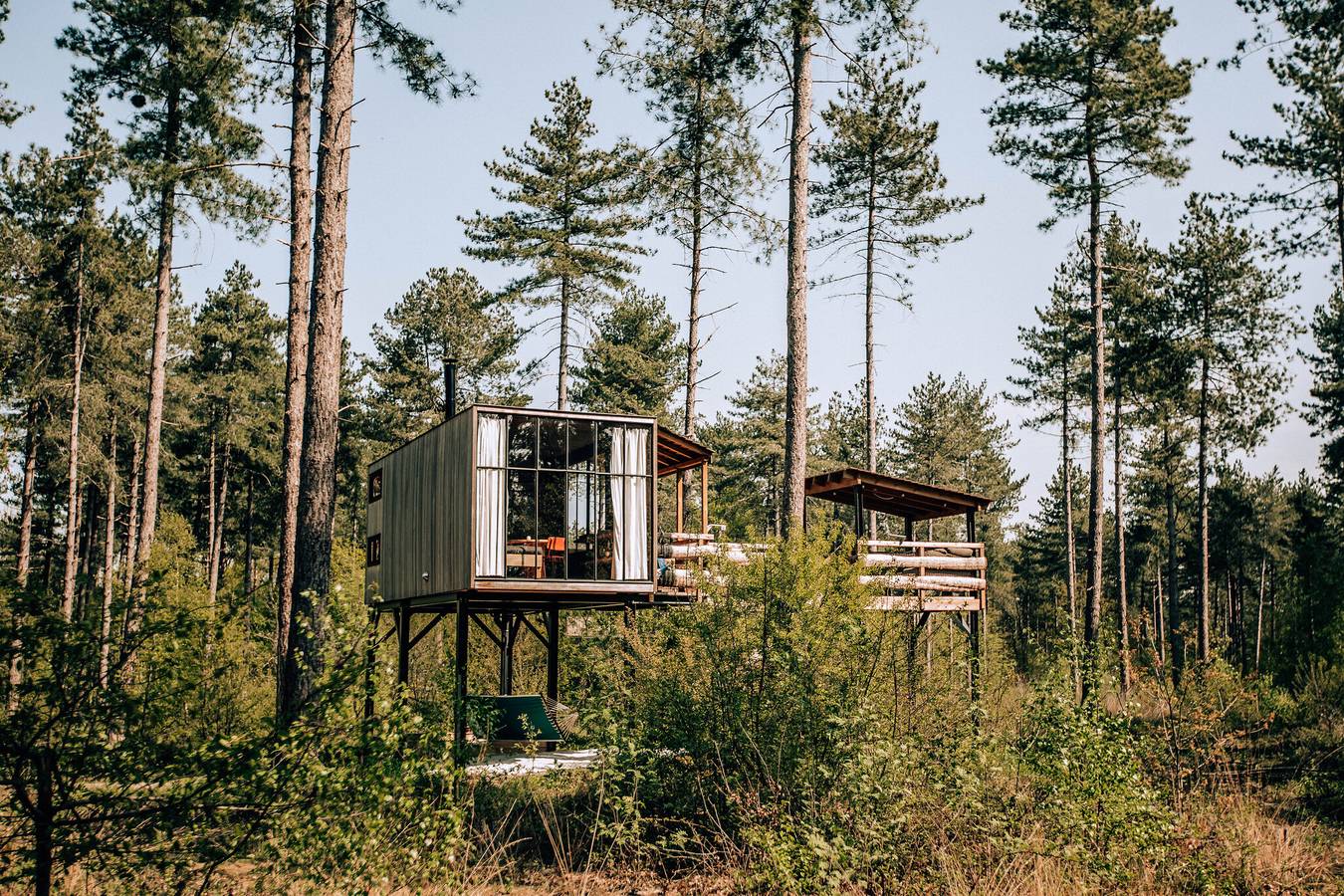Recreatiedomein Warredal — Treetop in Maaseik, Hoge Kempen