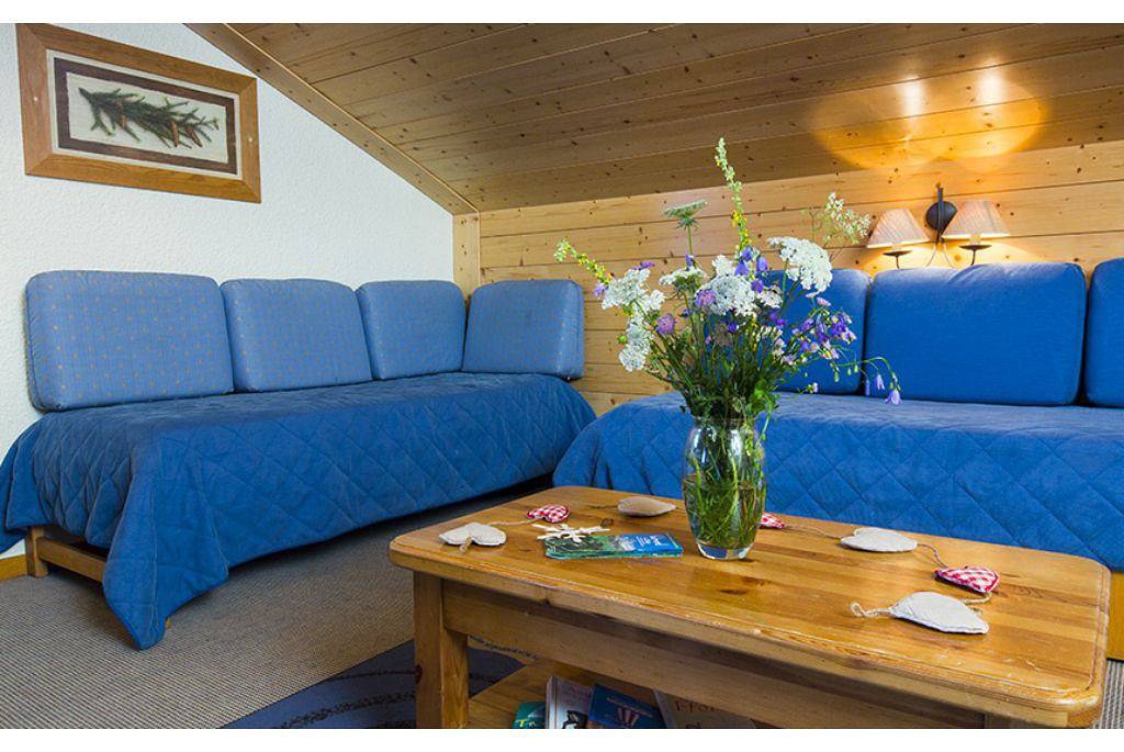 Entire apartment, Beauregard 2P5H in Doucy, La Léchère