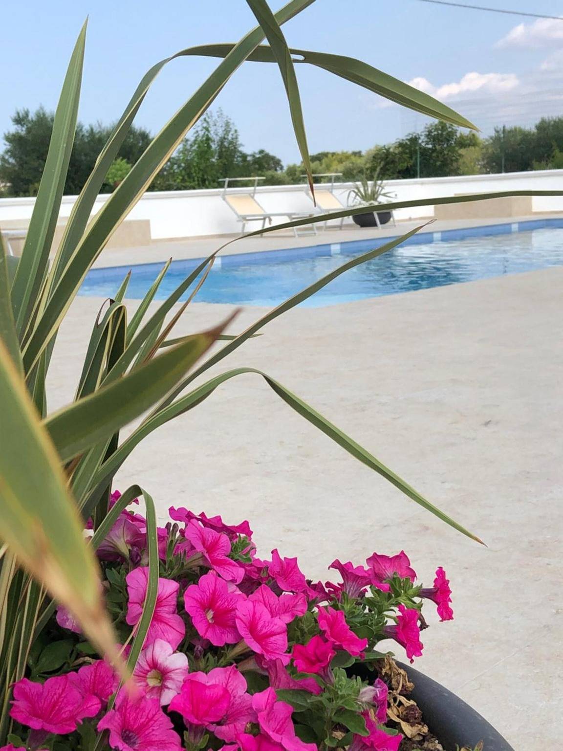 Ferienwohnung 'Villa Bianca N & F' mit privatem Pool, privater Terrasse und Wlan in Ostuni, Salento