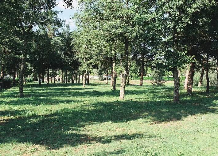 Camping für 3 Personen, mit Pool in Chianti - 2