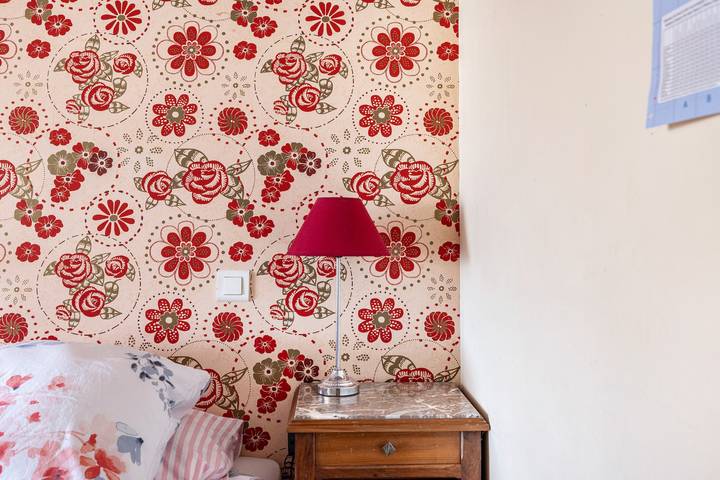 Chambre d’hôte pour 3 personnes, avec jardin à Vienne (France) - 3