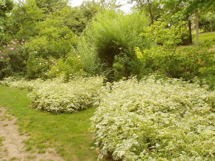 Maison d’hôte pour 2 personnes, avec jardin et vue dans Mayenne - 4