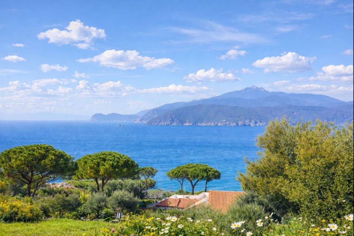 Appartement de vacances entier, Le Muse Apartments - Dafne a Capoliveri con Vista Mare e Giardino in Morcone, Ile d'Elbe