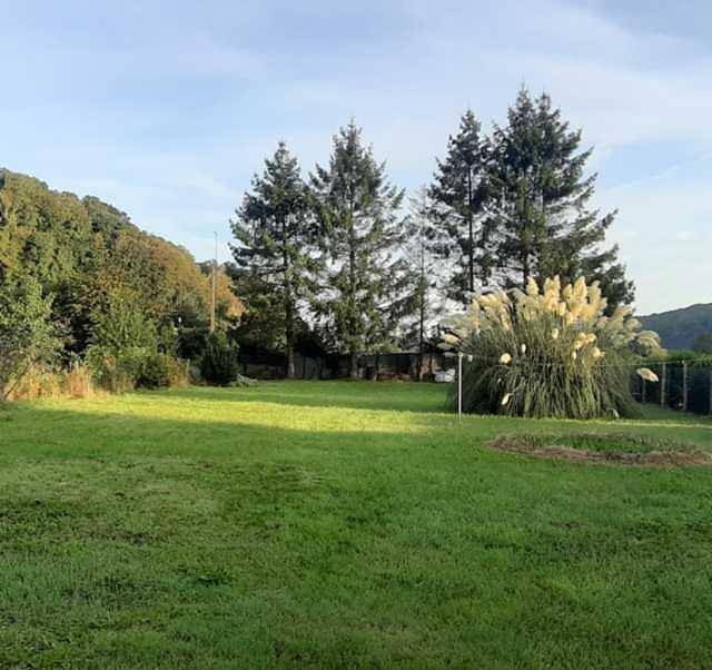 Location de vacances pour 8 personnes, avec jardin à Vittefleur - 3