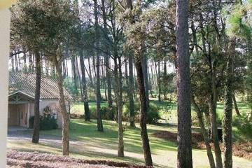 Gîte pour 6 personnes, avec balcon et piscine ainsi que jardin et jacuzzi dans Moliets-Plage