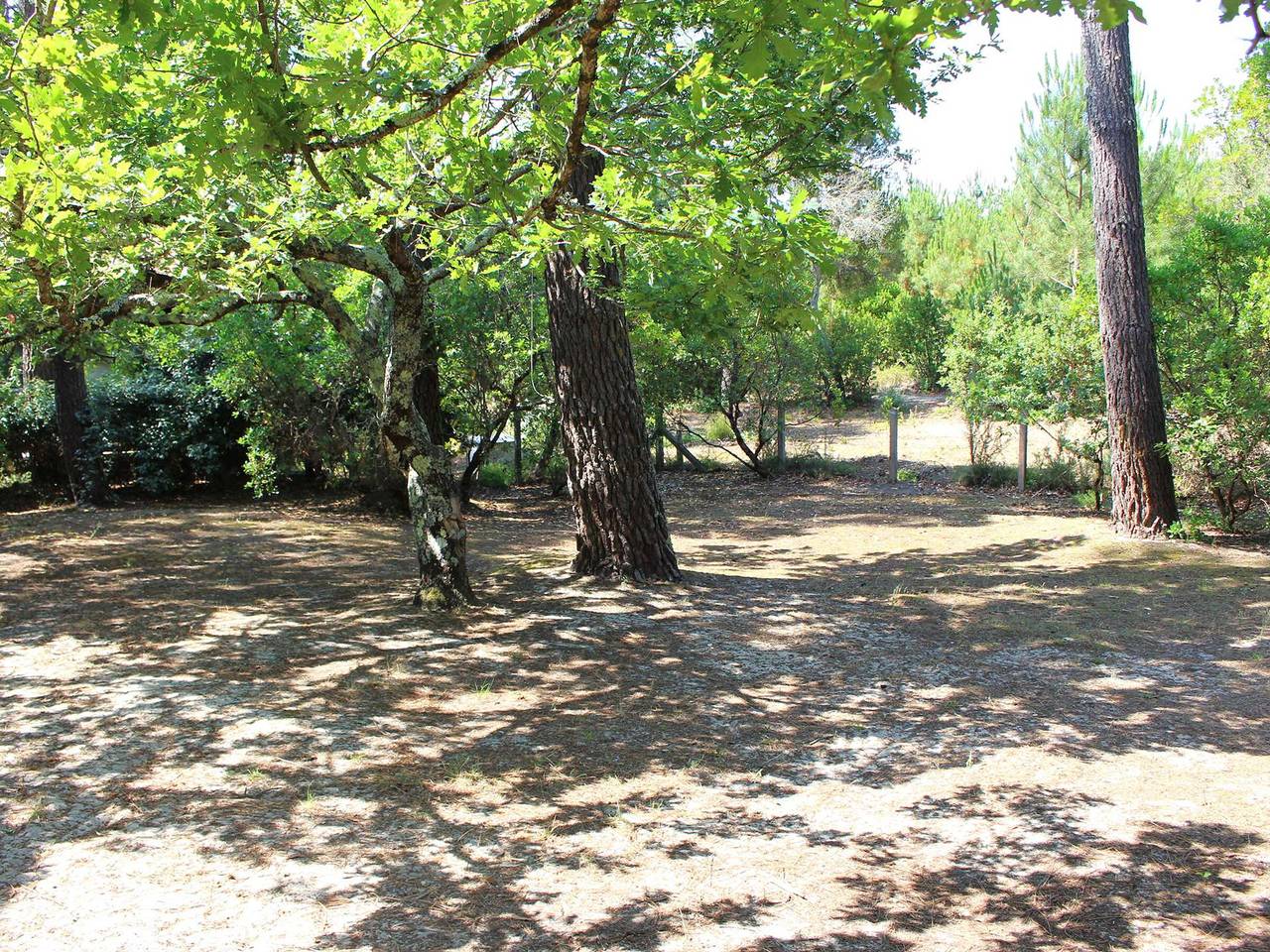 Villa landaise avec jardin proche plages et commerces, 3 chambres, terrasse couverte et barbecue in Petit Piquey, Lège-Cap-Ferret