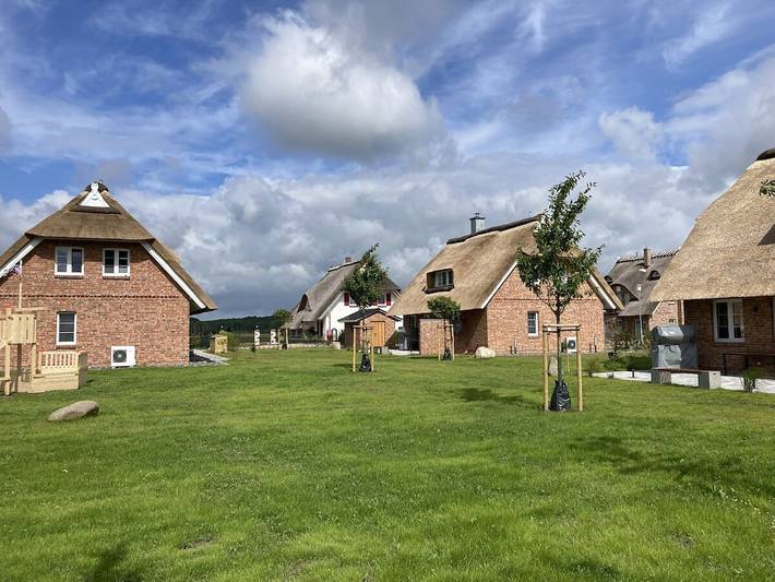 Ferienhaus für 6 Personen, mit Garten und Sauna in Poseritz - 2