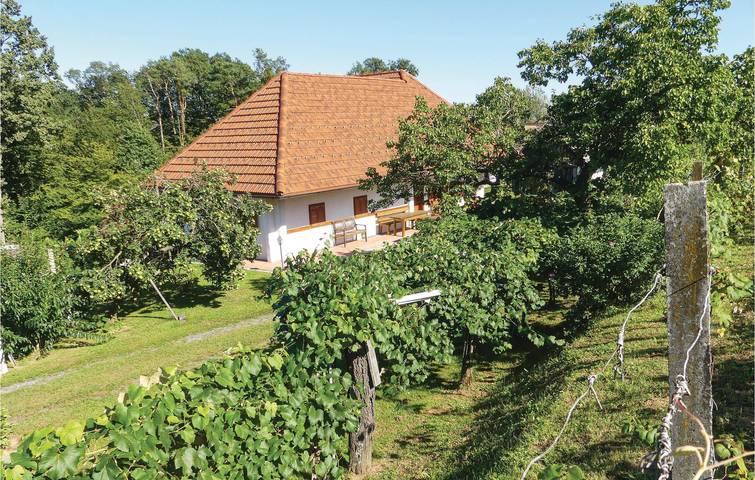 Ferienhaus für 6 Personen mit Garten in Bezirk Güssing