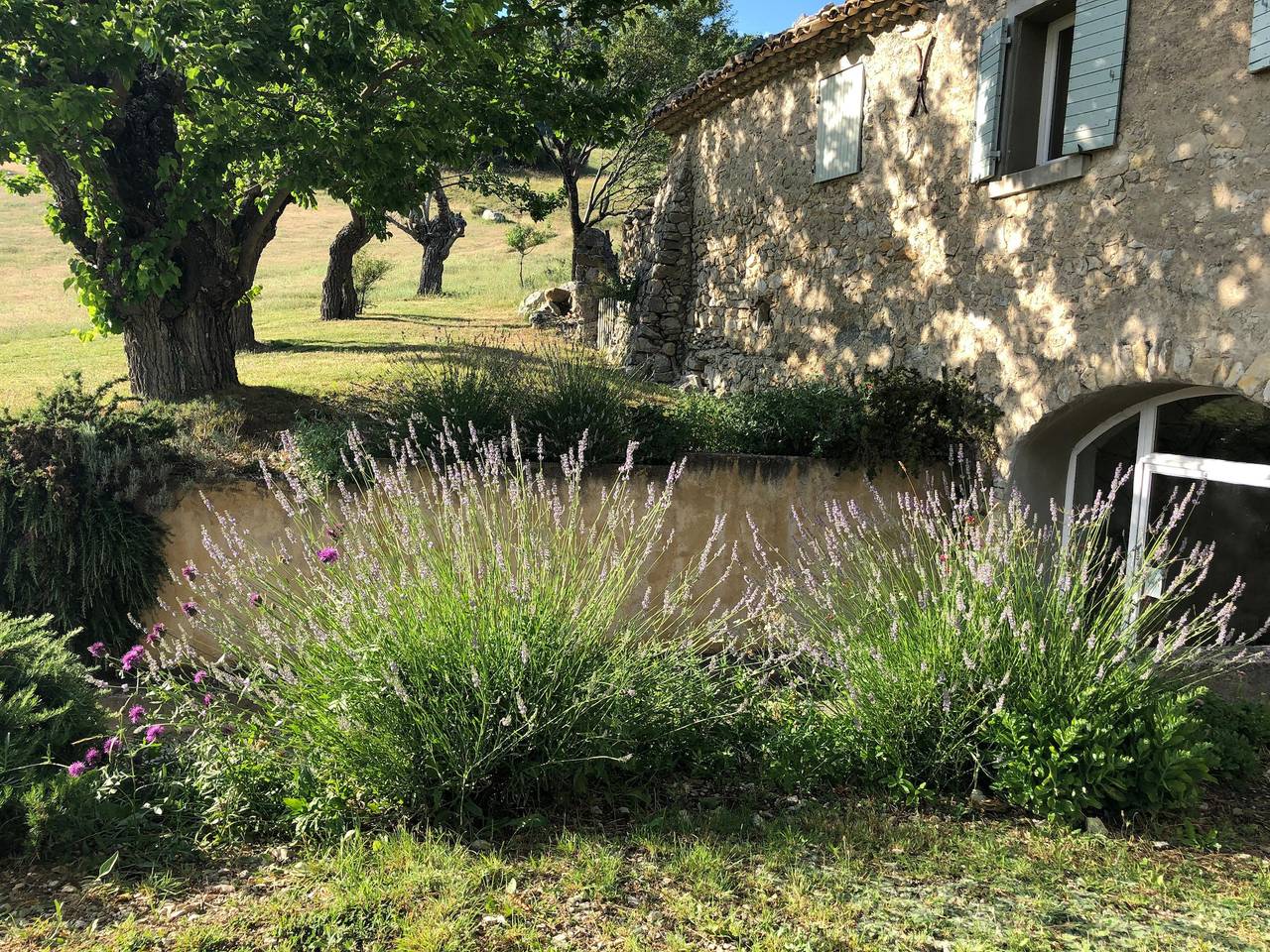 La bergerie de Haute Provence in Sisteron, Forcalquier und Umgebung