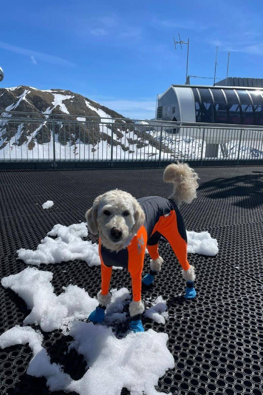 Ganze Wohnung, Extraordinaire Chalet - Walensee in Quarten, Churer Rheintal