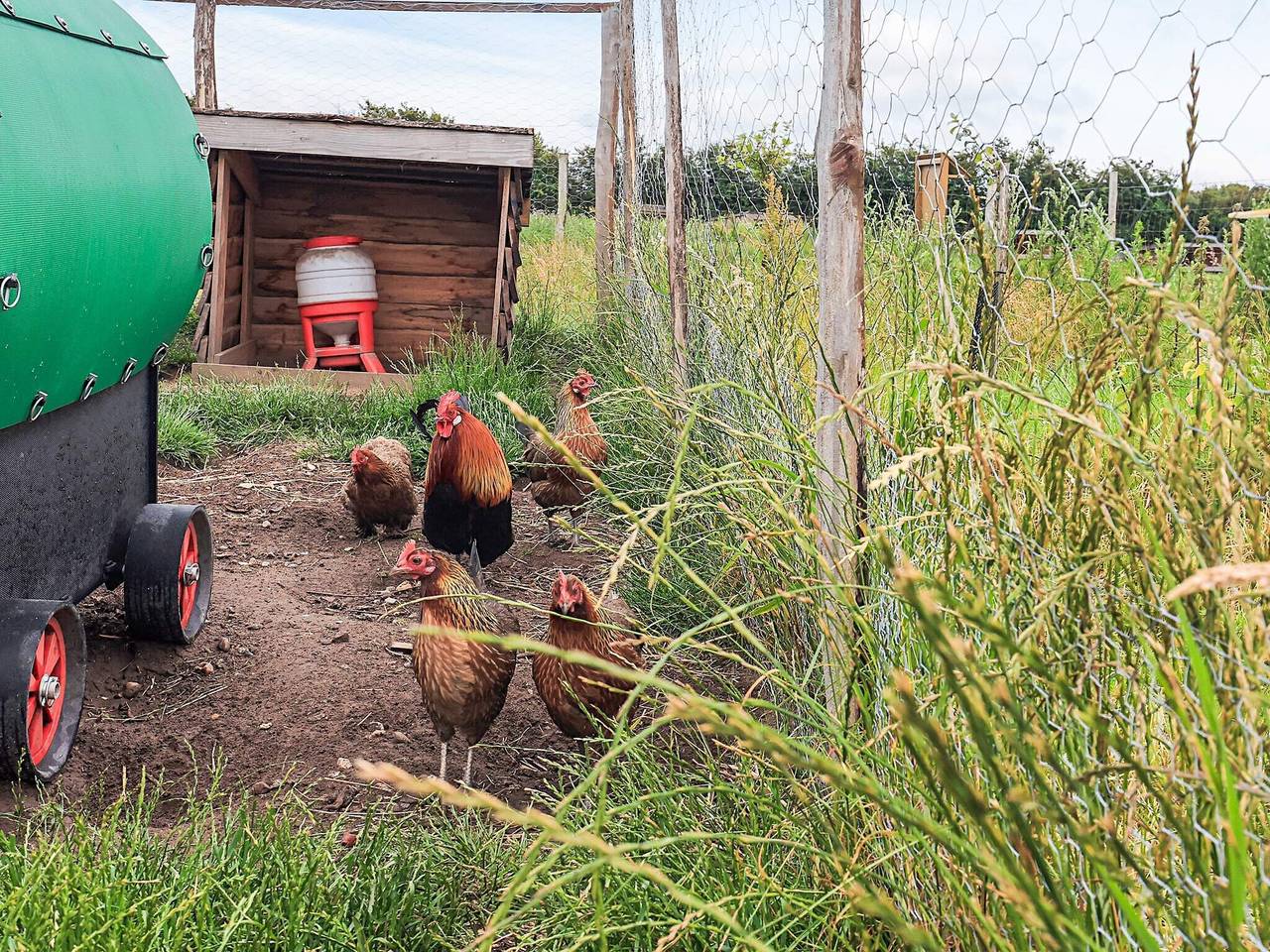 10 Personen Ferienhaus in Spøttrup in Limfjord in Westjütland