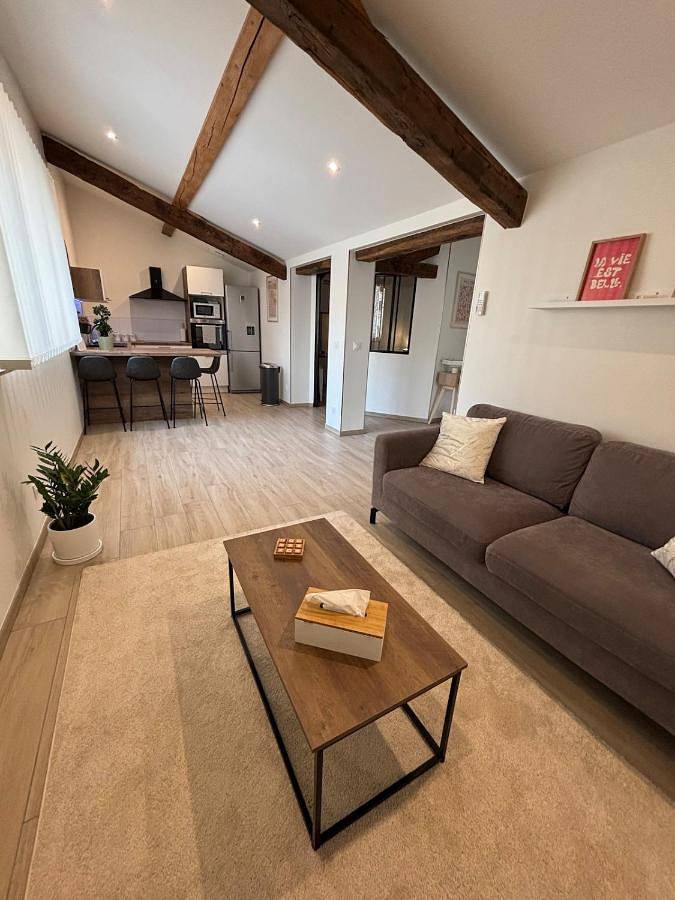 Appartement entier, Le Saint Pierre, T2 chic et rénové au coeur du centre ville in Mâcon, Région de Mâcon