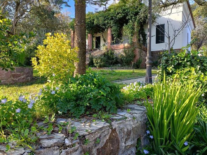 Casa rural para 9 personas, con jardín además de vistas y piscina en Aracena - 4