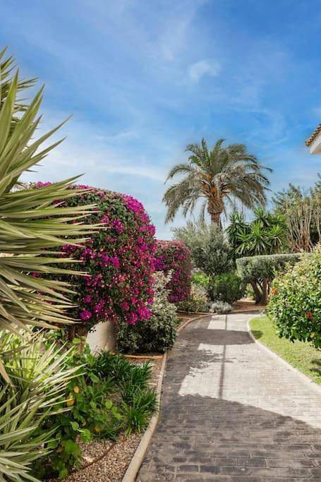 Casa rural para 6 personas, con vistas además de jardín y piscina, Se admiten mascotas en Santa Pola - 4