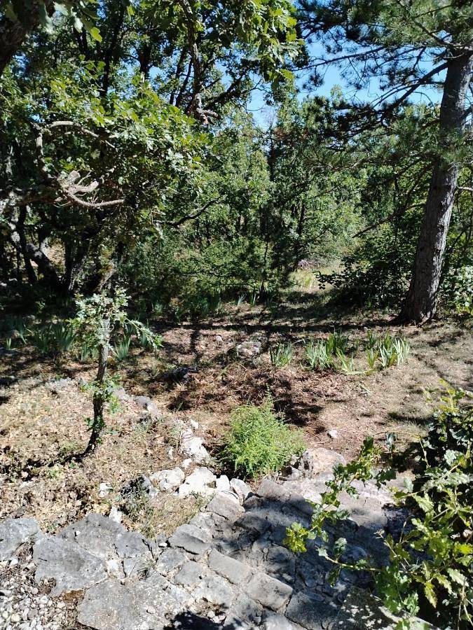 Location de vacances pour 12 personnes, avec Terrasse et Jardin ainsi que Bassin pour enfant et Piscine à Monieux - 3