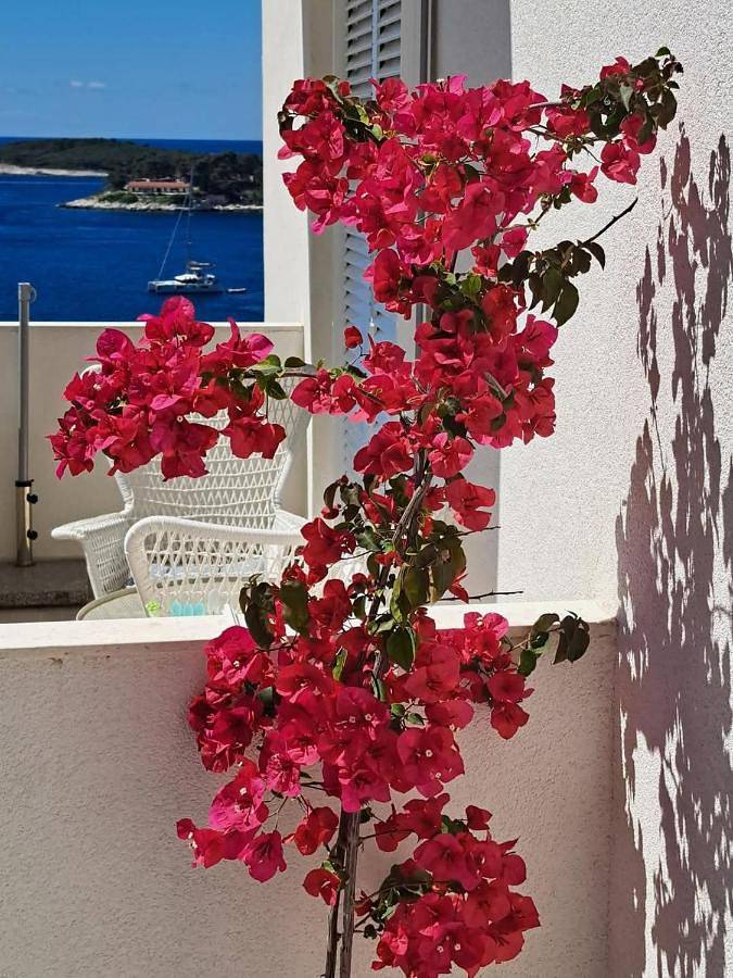 Holiday apartment for 2 people, with view and balcony, with pets - 1
