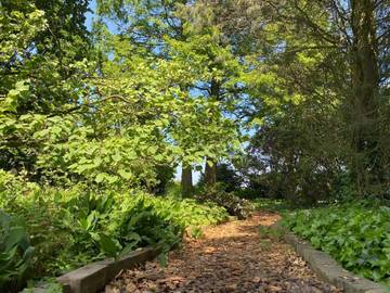 Glamping voor 10 Personen in Leende, Noord-Brabant, Afbeelding 4
