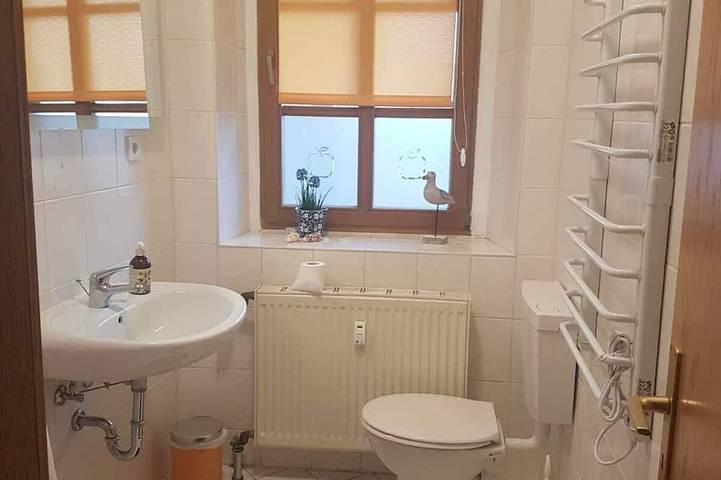Ganze Wohnung, Top Moderne  Ferienwohnung - frisch renoviert mit Balkon in Leisnig, Chemnitz und Umgebung