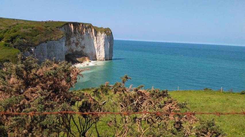 Gîte pour 7 personnes, avec jardin et terrasse, animaux acceptés dans Vaucottes - 3