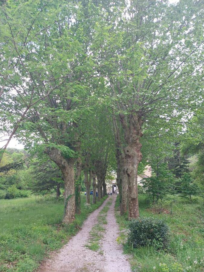 Location de vacances pour 6 personnes, avec jardin ainsi que piscine et vue à Saint-Laurent-le-Minier - 4