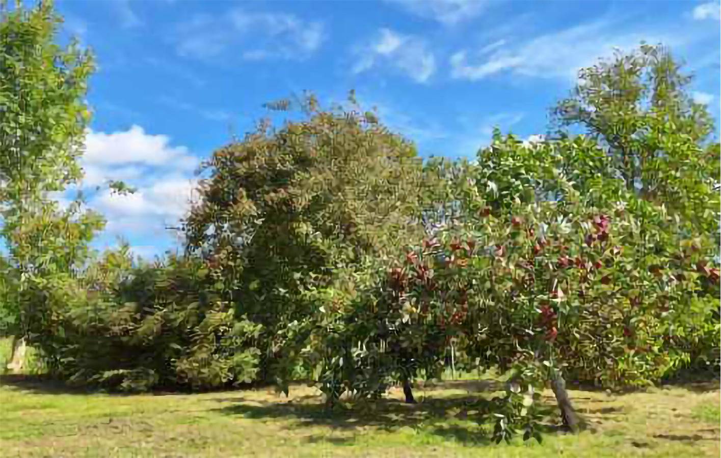 Ferienhaus für 5 Personen mit Terrasse in Ærøskøbing, Kleiner Belt