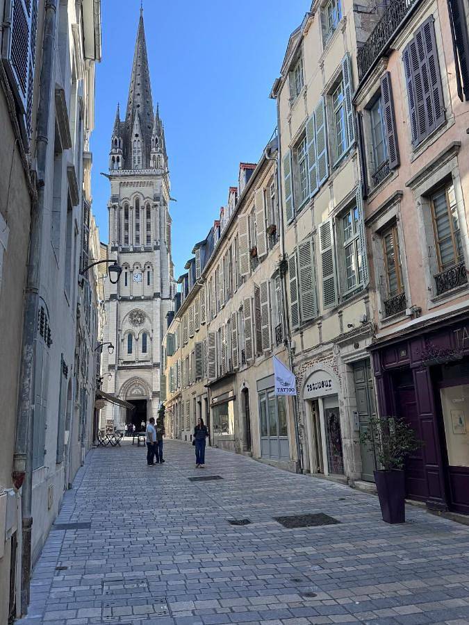 Appartement entier, Wonderhost, confort et points de vue remarquables in Pau, Béarn