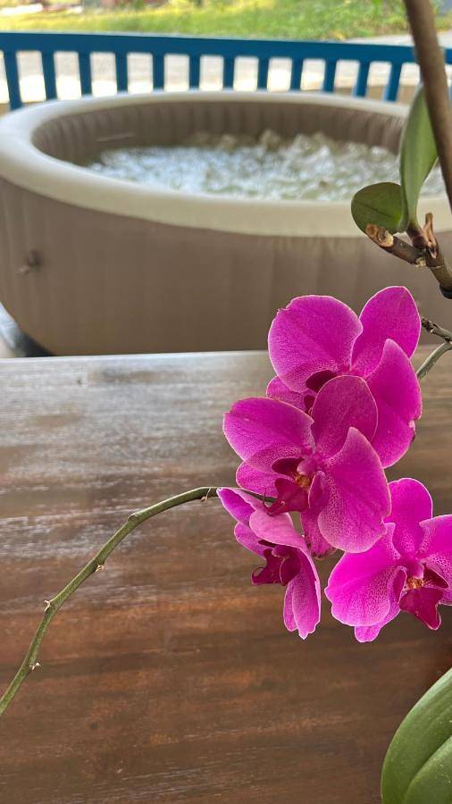 Maison de vacances pour 6 personnes, avec terrasse