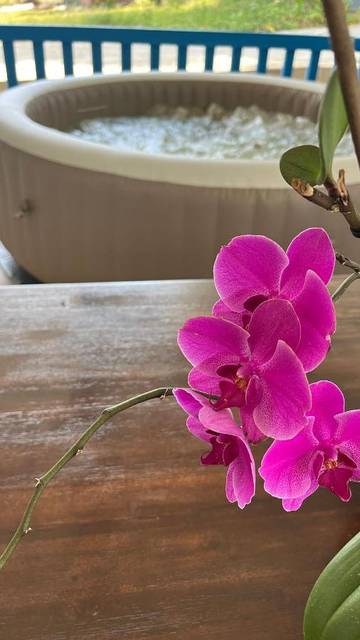 Location de vacances pour 6 personnes, avec terrasse à Matoury